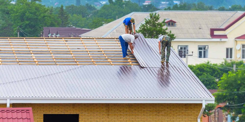 Trim Trees Near the Roof