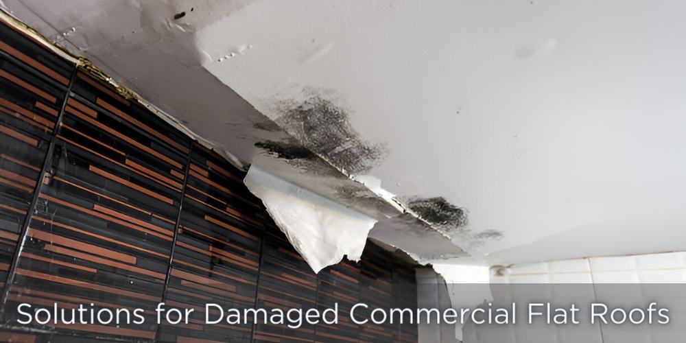 Damages Commercial Flat  Roof